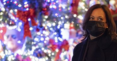 VP-elect Harris visits D.C. Christmas tree decorated with pictures of her