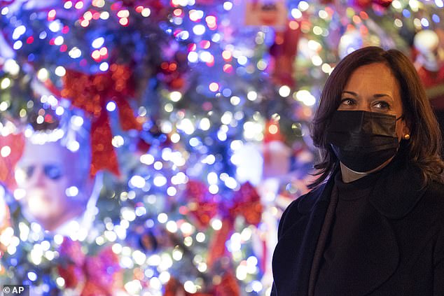 Vice President-elect Kamala Harris (right) stands in front of a tree that has been decorated with her likeness
