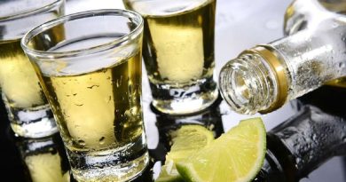 Why is the tequila glass called a horse? | The State