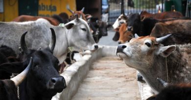 Withdraw or amend rules on confiscation of animals: SC