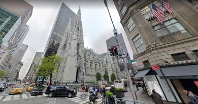 Young Hispanic woman vandalized St. Patrick’s Cathedral in New York | The State
