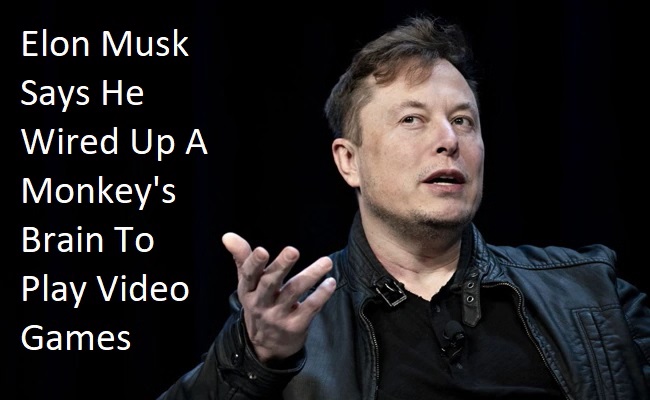 Elon Musk Says He Wired Up A Monkey’s Brain To Play Video Games
