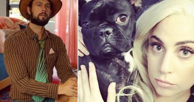 Lady Gaga’s Dogwalker Shot, 2 Of Her French Bulldogs Stolen, USD 500,000 reward for information