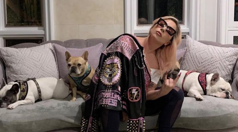 Lady Gaga’s French Bulldogs Returned AfterTerrifying Dognapping & Shooting