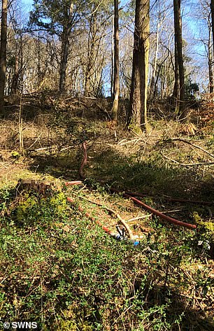 Debris was strewn across a wooded area in the aftermath of the crash