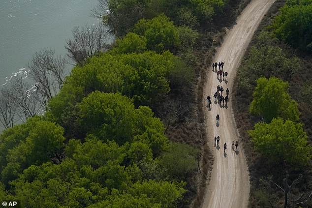 Pictured: Migrants on Tuesday crossing the border into Mission, Texas