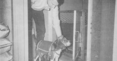 CIA’s 1960s experiments to create ‘remote control’ dogs by implanting electrodes into their brains