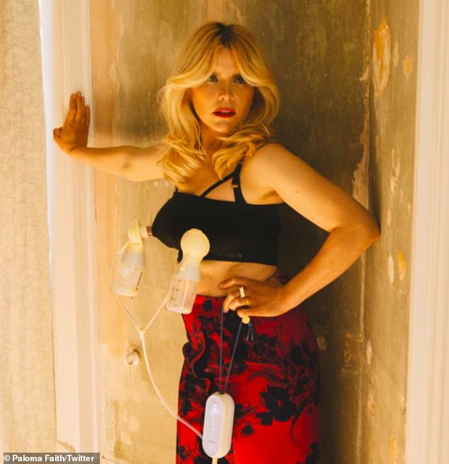 Pop star Paloma Faith (above) has become the latest celebrity mum to pose with breast pumps attached to her nipples, thus simultaneously virtue-signalling her credentials as a parent and providing a modicum of titillation for those who are that way inclined