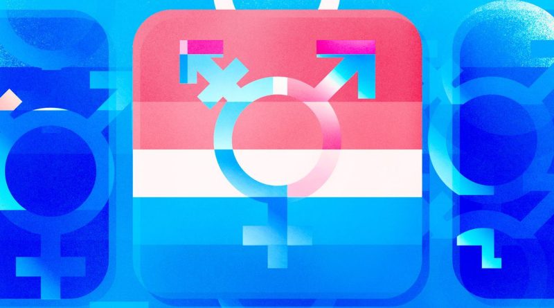 Imperfect offerings: inside the complex new world of trans tech
