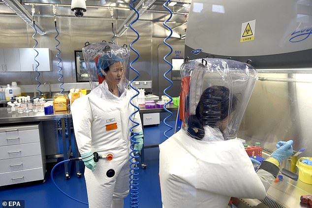 Researchers work in a lab of Wuhan Institute of Virology in China