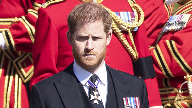 Prince Harry Grieves Over Princess Diana’s Exploitative Interview: ‘Our Mother Lost Her Life’