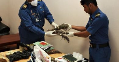 Dubai foils attempts to smuggle witchcraft items