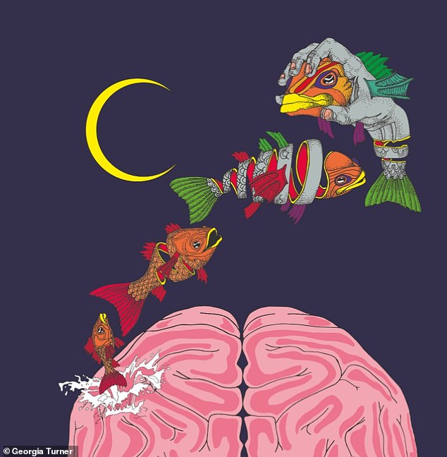 This illustration represents the overfitted brain hypothesis of dreaming, which claims that the sparse and hallucinatory quality of dreams helps prevent the brain from 'overfitting' to its biased daily sources of learning