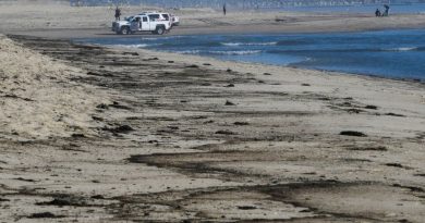 Huntington Beach: California oil spill sparks concern for wildlife