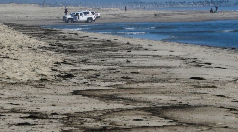 Huntington Beach: California oil spill sparks concern for wildlife