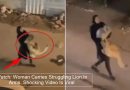 Watch: Woman Carries Struggling Lion In Arms. Shocking Video Is Viral
