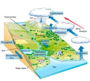 World Geography : Drainage System . ( UPSC )