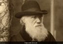 Charles Darwin’s Signed Document To Go For Auction, Could Fetch ₹ 9 Crore