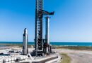 SpaceX Rolls Out Starship Super Heavy Booster for November 19 Flight Test