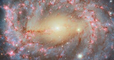 Hubble Captures NGC 5643’s Spiral Arms, Star Formation, and Hidden Black Hole