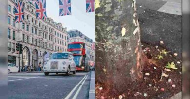 London Council Spent ₹35 Lakh Annually Cleaning Paan‑Gutka Stains, Launches Crackdown