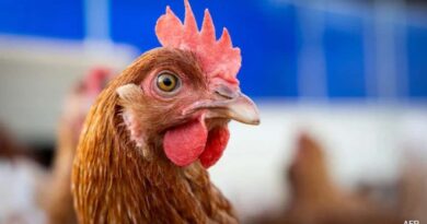 First Human Dies from Rare Bird Flu Strain H5N5 in U.S. — Washington Reports Fatality