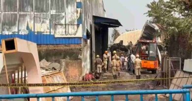 21 Killed in Fire at Two Warehouses in Kolkata, Including Wow Momo Unit