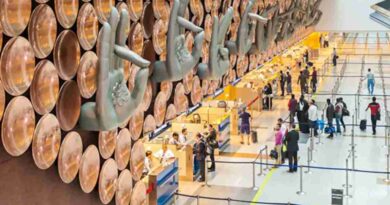 Check-In Disruptions At Delhi, Other Airports Due To Software Glitch