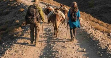 2 Indians Kidnapped, Tortured on Livestream in Azerbaijan While Trying ‘Donkey Route’ to US