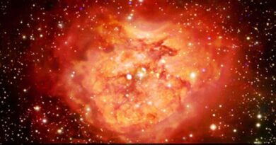 NASA Shares Heart-Shaped Nebula Image To Mark Valentine’s Day